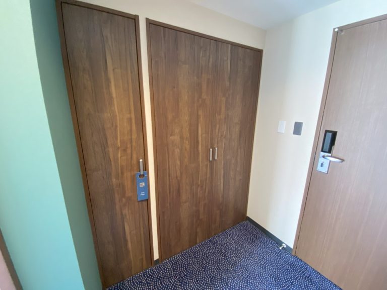 クローゼット外観(閉じた状態)