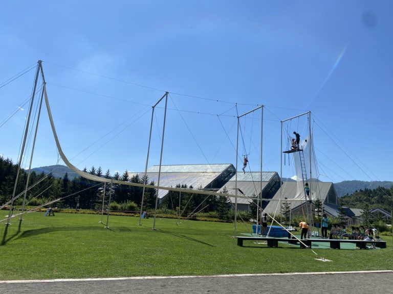 その他(空中ブランコ)