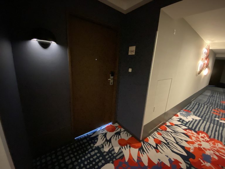 客室入口付近廊下