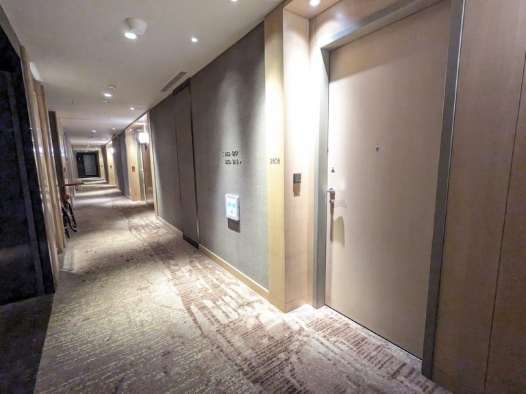 客室入口付近廊下