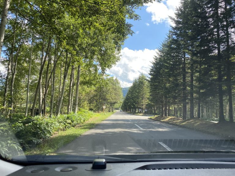 その他(リゾート内道路)