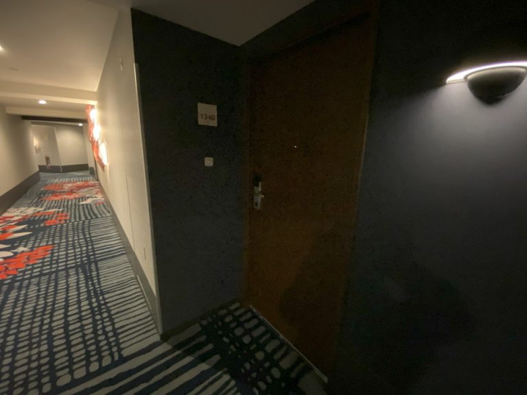 客室入口外観ドア