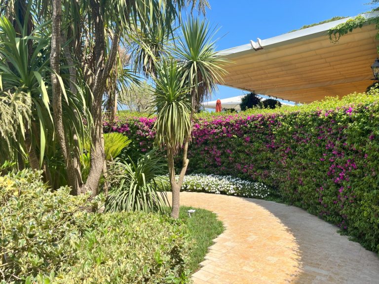 ホテル入り口までのアプローチ