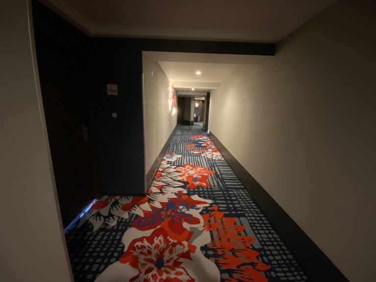 客室廊下全体