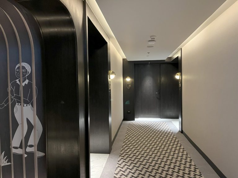 客室入口付近廊下