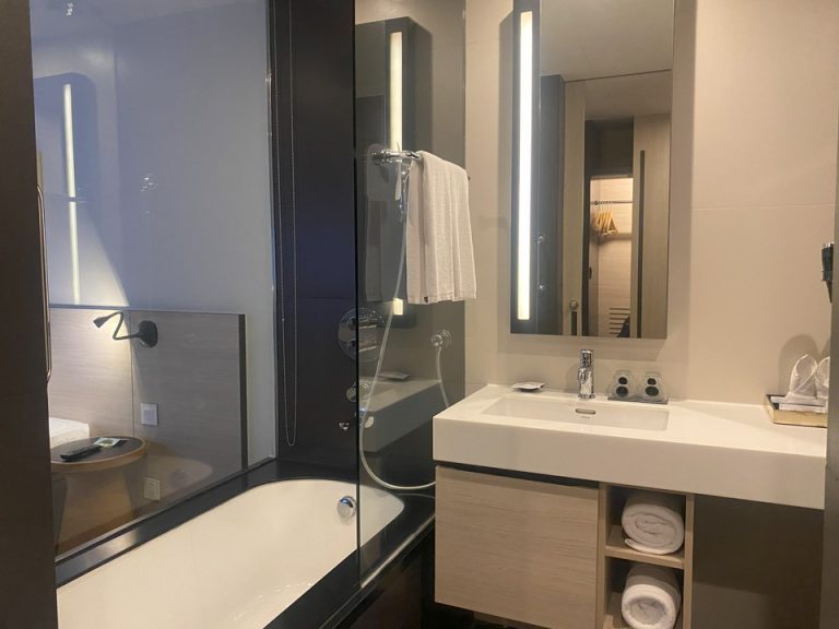 バスルーム入口から全景