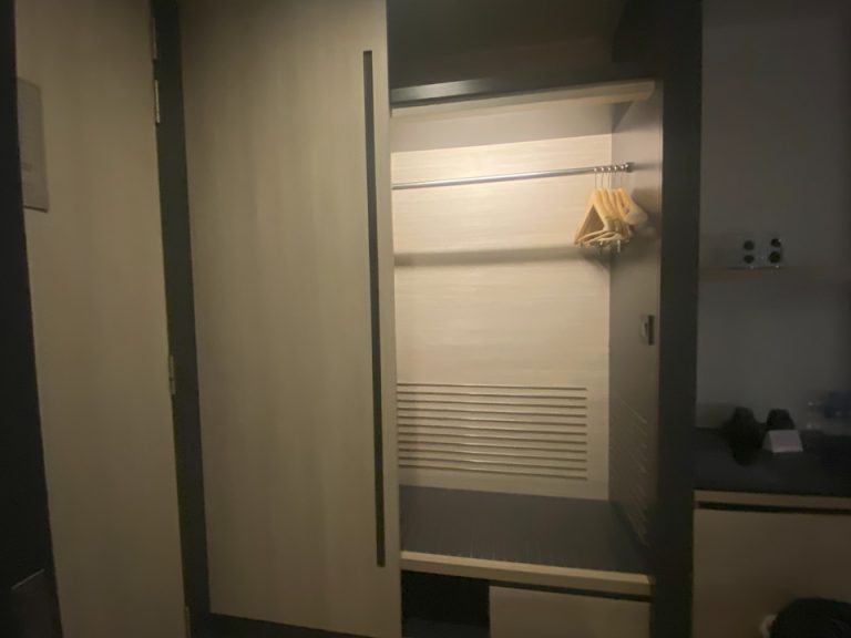 クローゼット外観 (開けた状態)