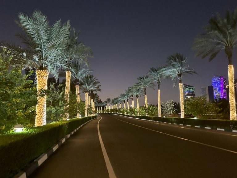 エントランスまでの道