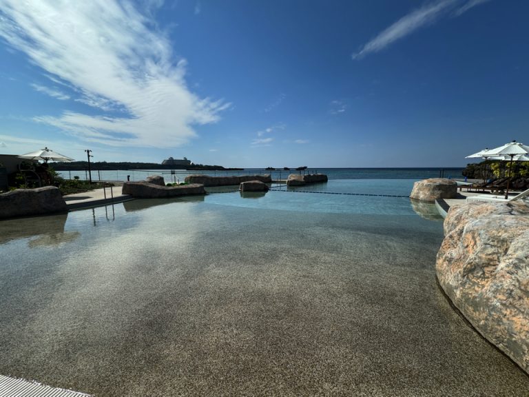 写真 2023-10-26 01.47.16 午後