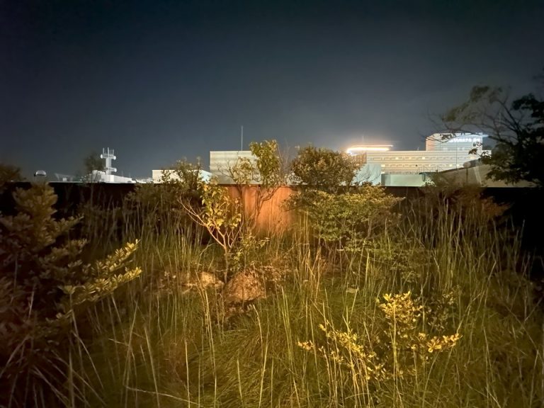 部屋からの眺望