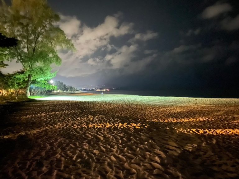 夜ライトアップされたビーチです