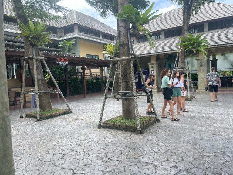 タイガーキングダム入り口です