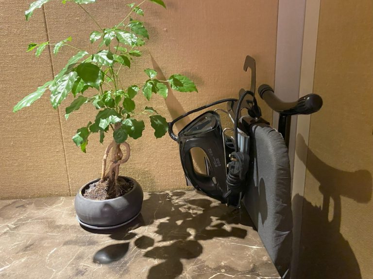 客室_アイロン