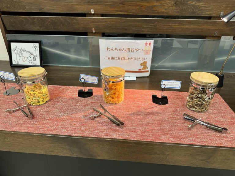 犬用ウェルカムおやつ