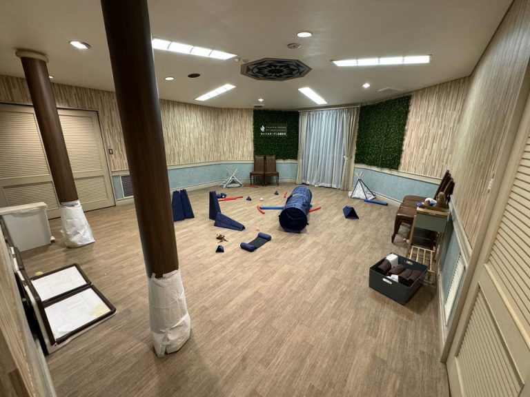 屋内ドッグラン