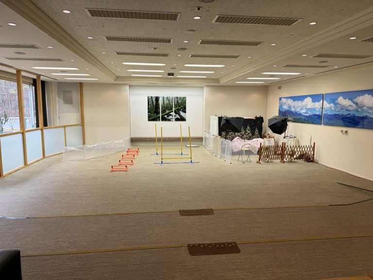 屋内ドッグラン