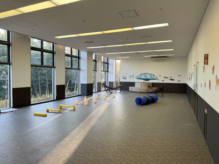 屋内ドッグラン(4)