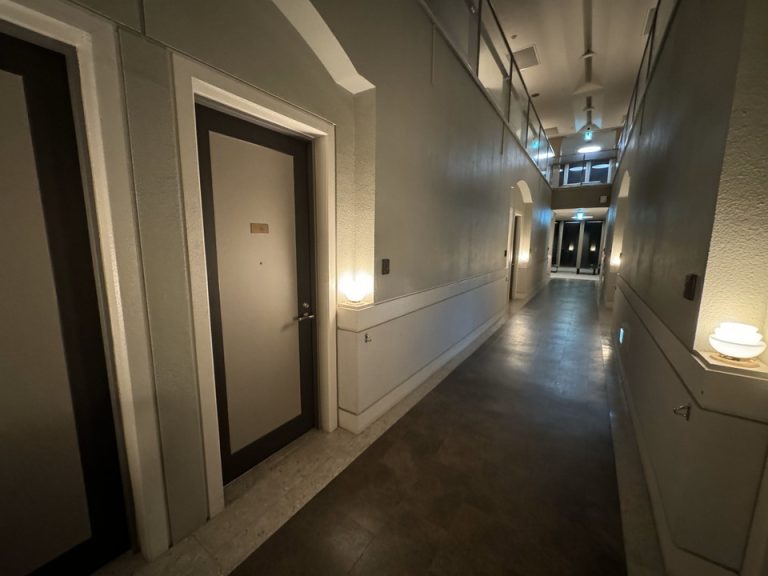 客室入り口付近廊下(2)