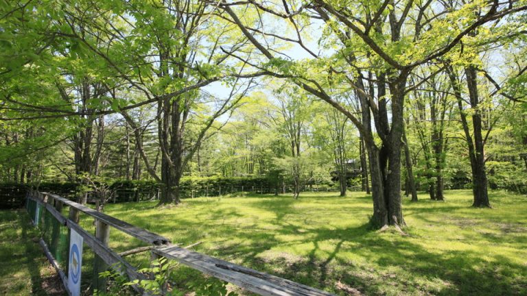 d90e7476ddc5b9ab85224fe1d428a0264a9233de.47.9.26.3