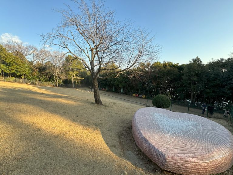 屋外ドッグラン