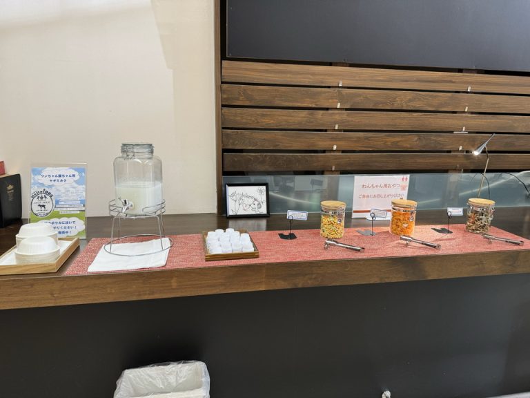 犬用ウェルカムドリンクとおやつ