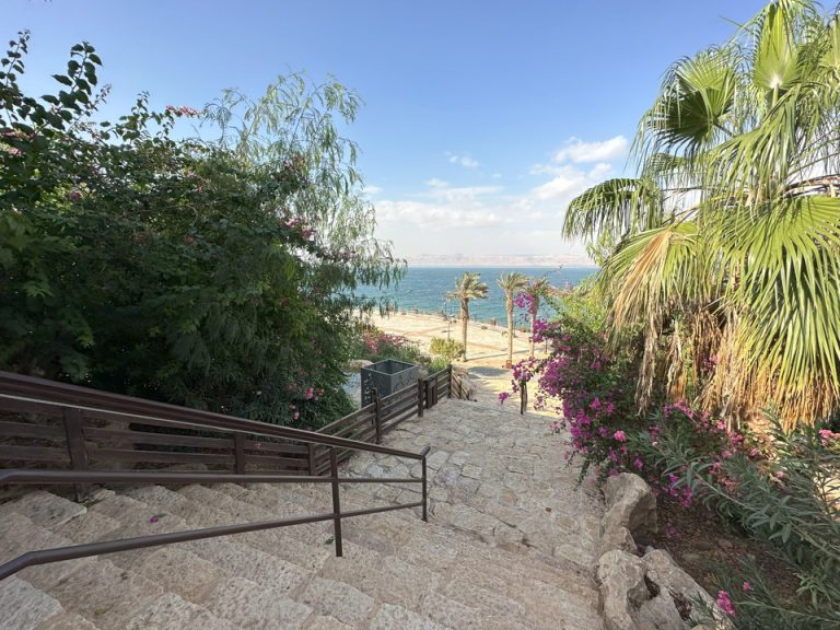 プールから死海(1)