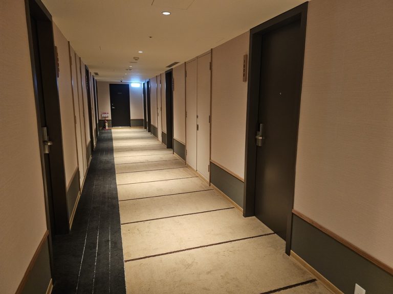 客室入口付近廊下②