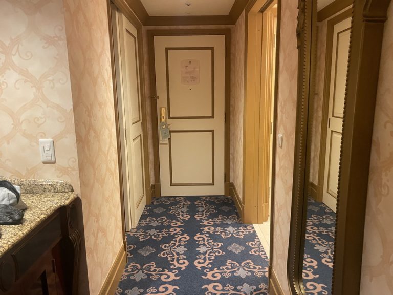 客室入口内観ドア