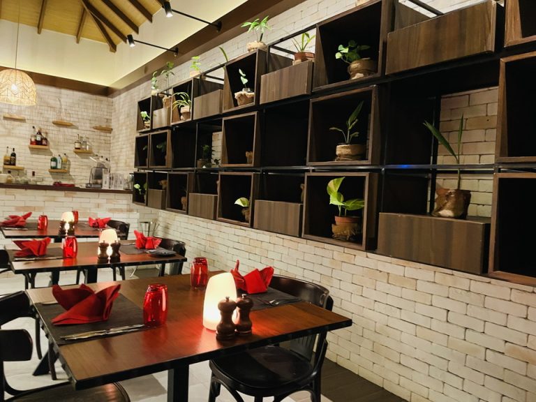 ファットカメレオン(1)