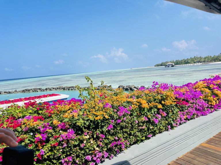 スピードボートを降りたところ