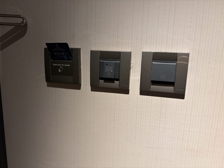 客室_客室内観ドア5