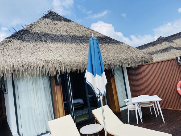 テラスから見た部屋