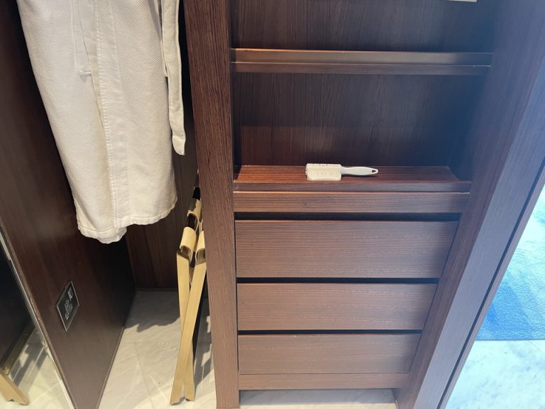 クローゼット外観(閉じた状態)右側(2)