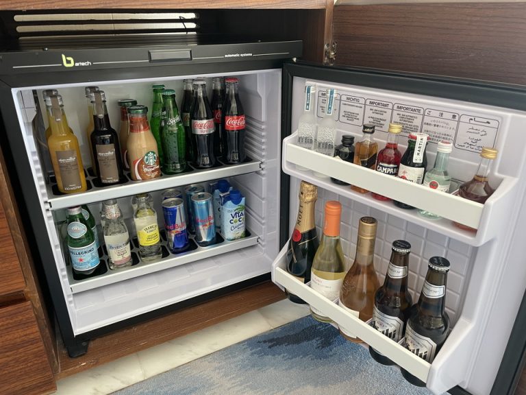 冷蔵庫(開けた状態)