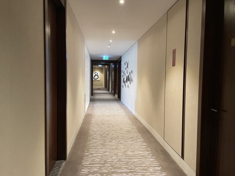 客室入口付近廊下(1)