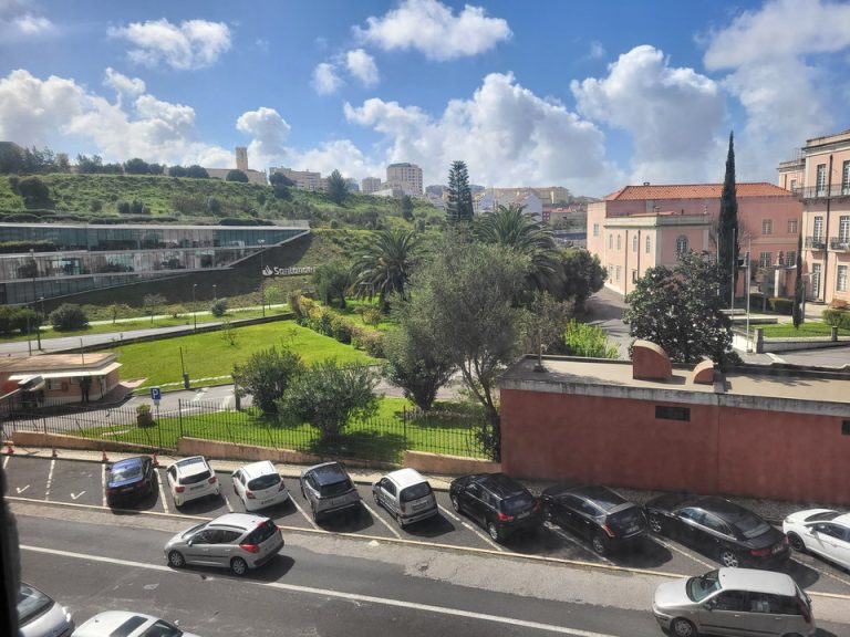 客室からの眺望