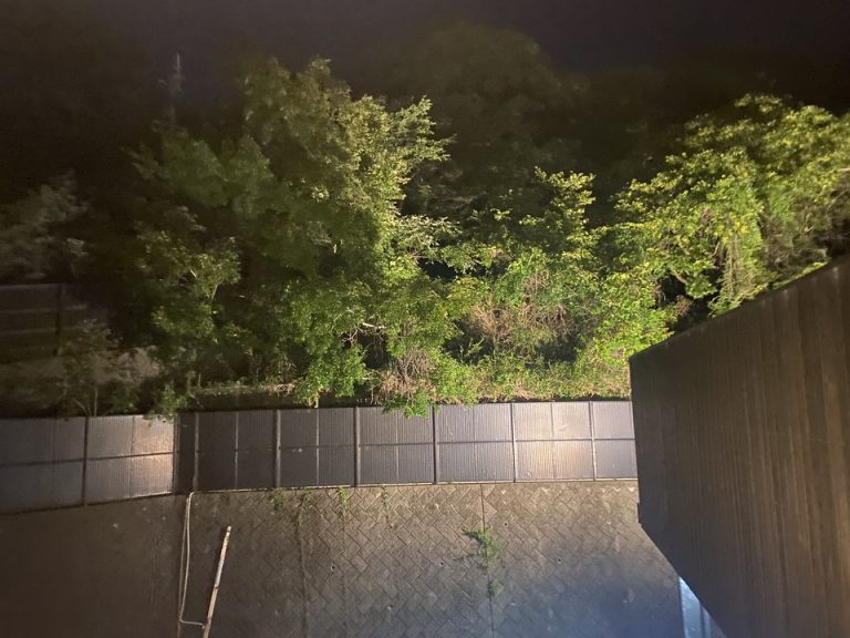 露天風呂からの景色(1)