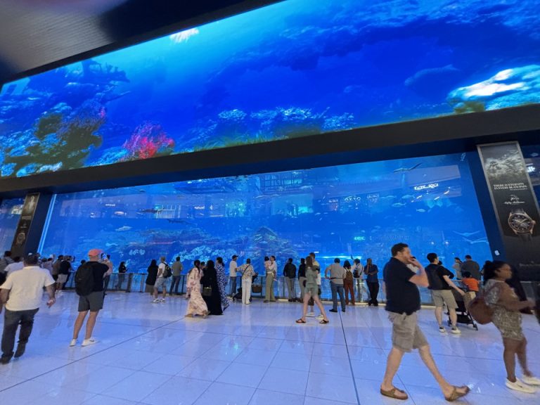 ドバイモールの水族館の大水槽