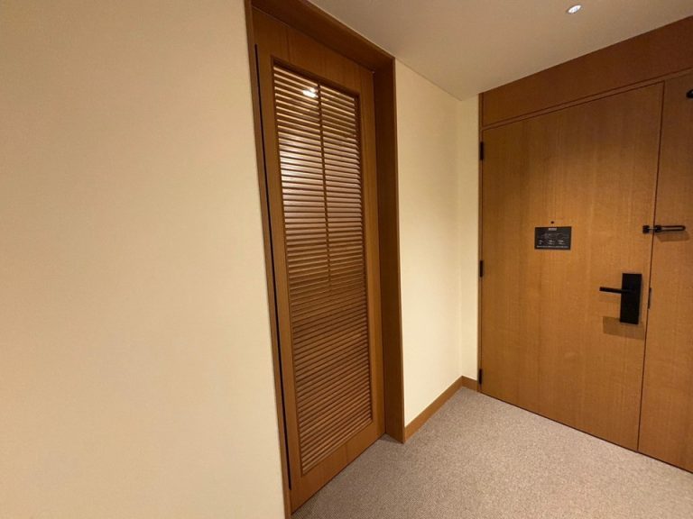 クローゼット外観(閉じた状態)