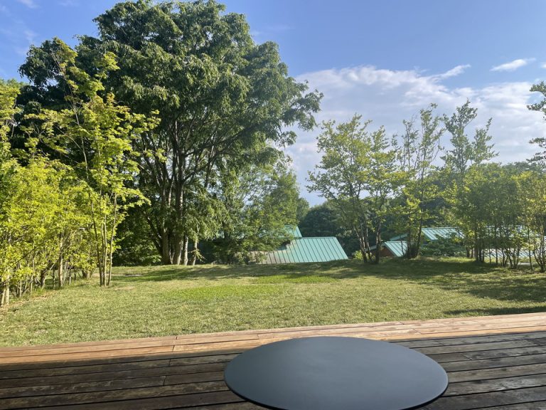 客室からの眺望(昼間)