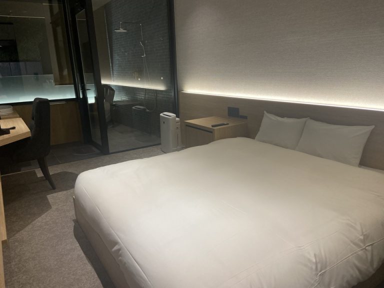 客室全体(3)