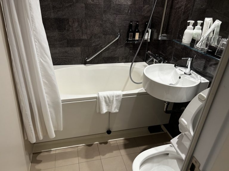 バスルーム入り口から全景