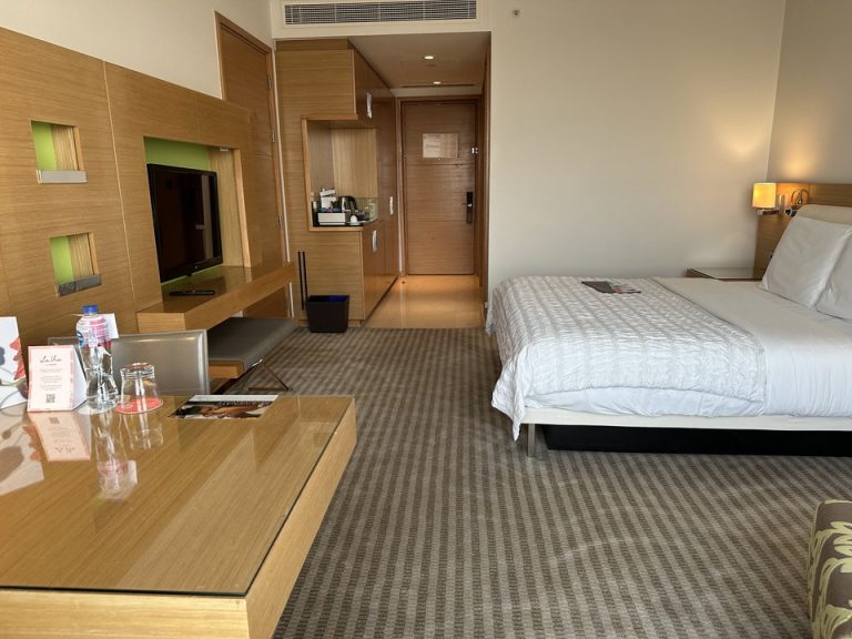 客室全体(入口方向)