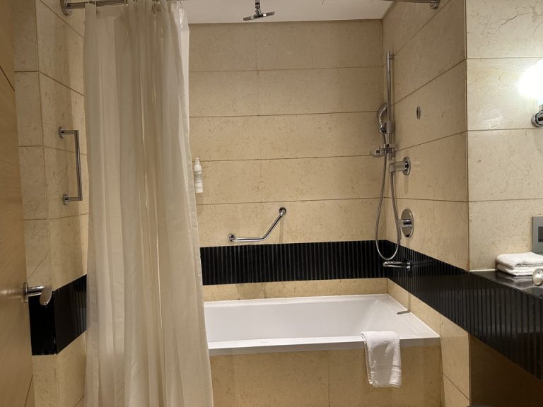 バスルーム入口から全景