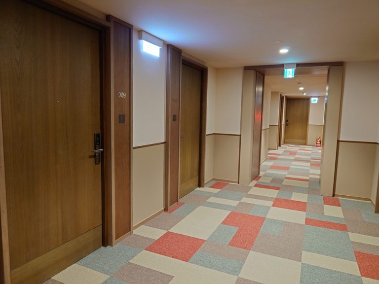 客室入口付近廊下②