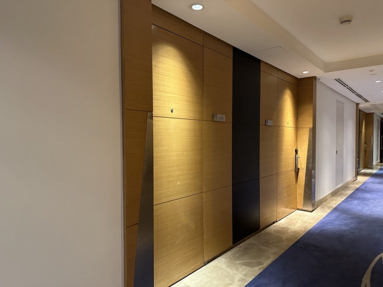 客室入口付近廊下