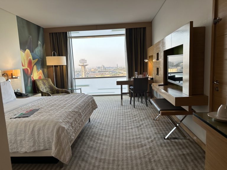 客室全体(窓側方向)