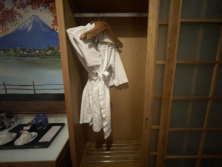 クローゼット中