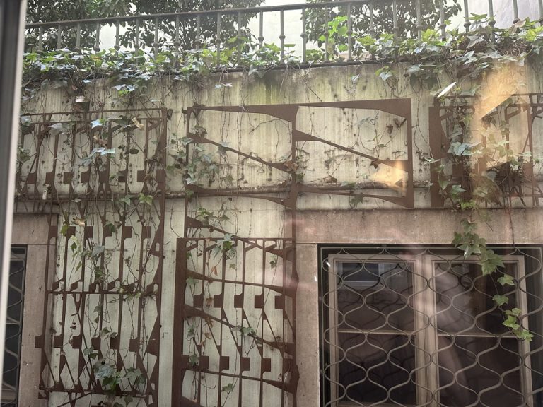 部屋からの眺望