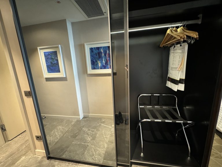 クローゼット外観 (開けた状態 )(1)